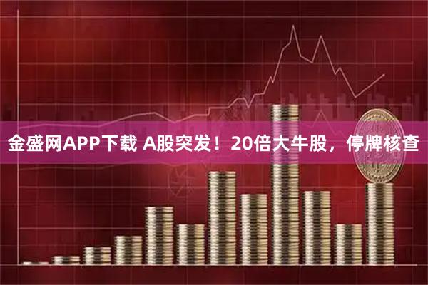 金盛网APP下载 A股突发！20倍大牛股，停牌核查