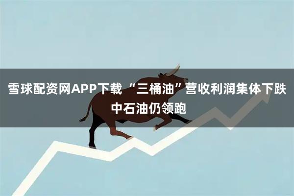 雪球配资网APP下载 “三桶油”营收利润集体下跌 中石油仍领跑