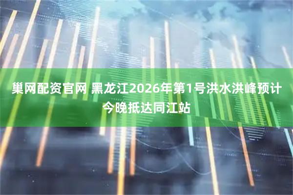 巢网配资官网 黑龙江2026年第1号洪水洪峰预计今晚抵达同江站
